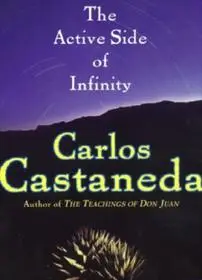 Árengedmény The Active Side of Infinity byCastaneda, Carlos;