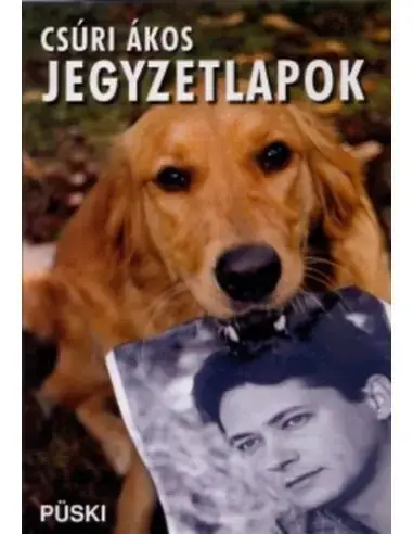Jegyzetlapok Vedd meg most
