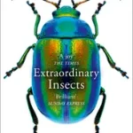 EXTRAORDINARY INSECTS: Weird. Wonderful. Indispensable. The ones who run our world. bySverdrup-Thygeson, Anne; Népszerű