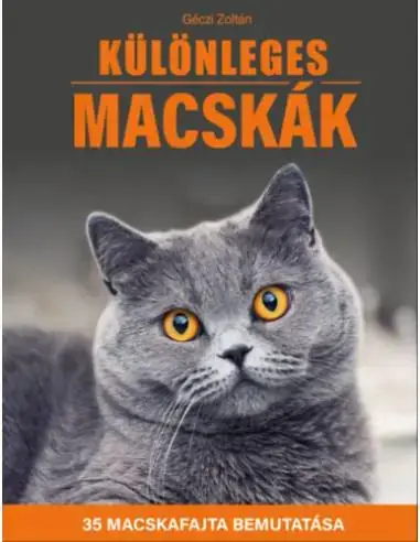Különleges macskák - 35 macskafajta bemutatása Biztonságos vásárlás