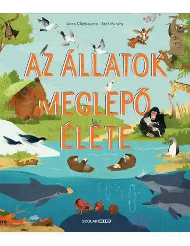 Vásárlói kedvenc Az állatok meglepő élete