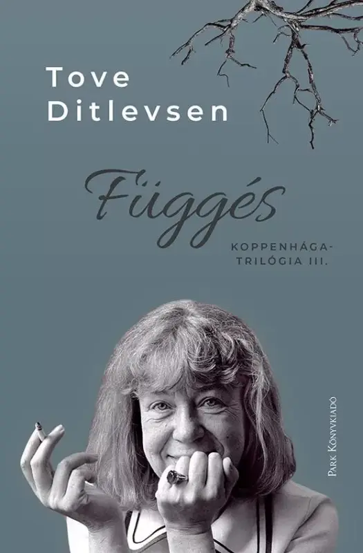 Függés - Koppenhága-trilógia III. Azonnal elérhető