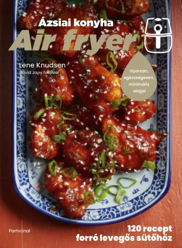 Air fryer – Ázsiai konyha Prémium