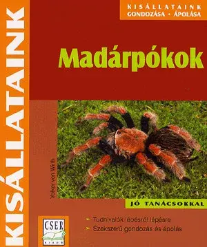 Prémium Madárpókok