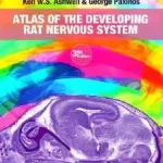 Atlas of the Developing Rat Nervous System byAshwell, Ken; Expressz szállítás