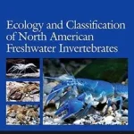 Ecology and Classification of North American Freshwater Invertebrates byThorp, James H.; Covich, Alan P.; Bestseller