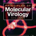 Ajánlat Principles of Molecular Virology byCann, Alan J.; Bellairs, Ruth; Cann, Alan J.;