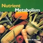 Rendeld meg most Nutrient Metabolism byKohlmeier, Martin;