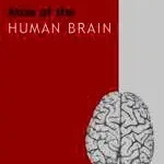 Árengedmény Atlas of the Human Brain byMai, Juergen K.; Paxinos, George; Assheuer, Joseph K.;