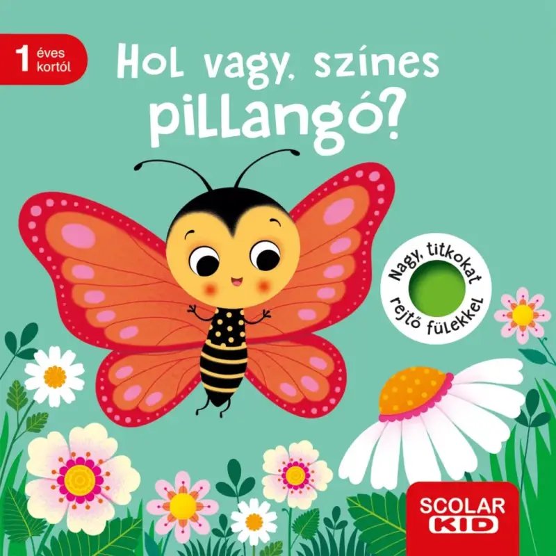 Hol vagy, színes pillangó? Vedd meg online