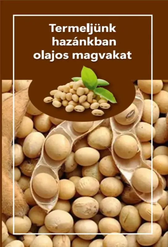 Kihagyhatatlan ajánlat Termeljünk hazánkban olajos magvakat